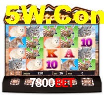 Sinta a adrenalina dos jogos de cassino com 7800Bet